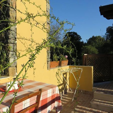 לינה וארוחת בוקר לריצ'י Agriturismo "La Rosa Canina" מראה חיצוני תמונה