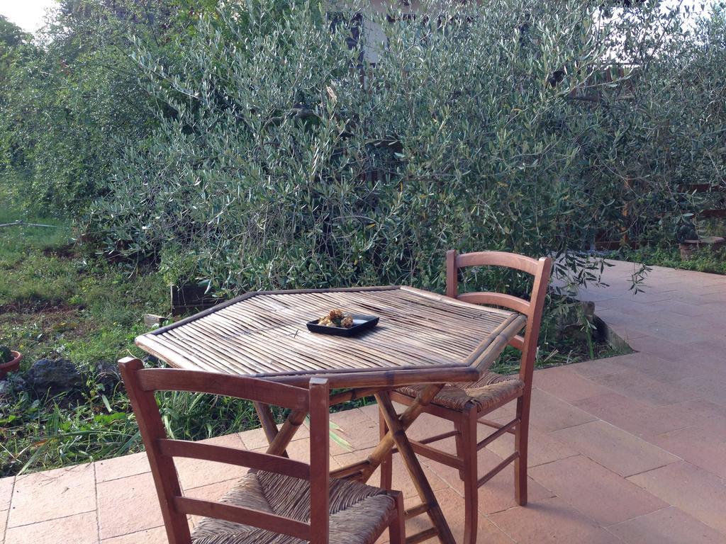 לינה וארוחת בוקר לריצ'י Agriturismo "La Rosa Canina" מראה חיצוני תמונה