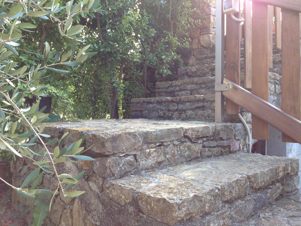 לינה וארוחת בוקר לריצ'י Agriturismo "La Rosa Canina" מראה חיצוני תמונה