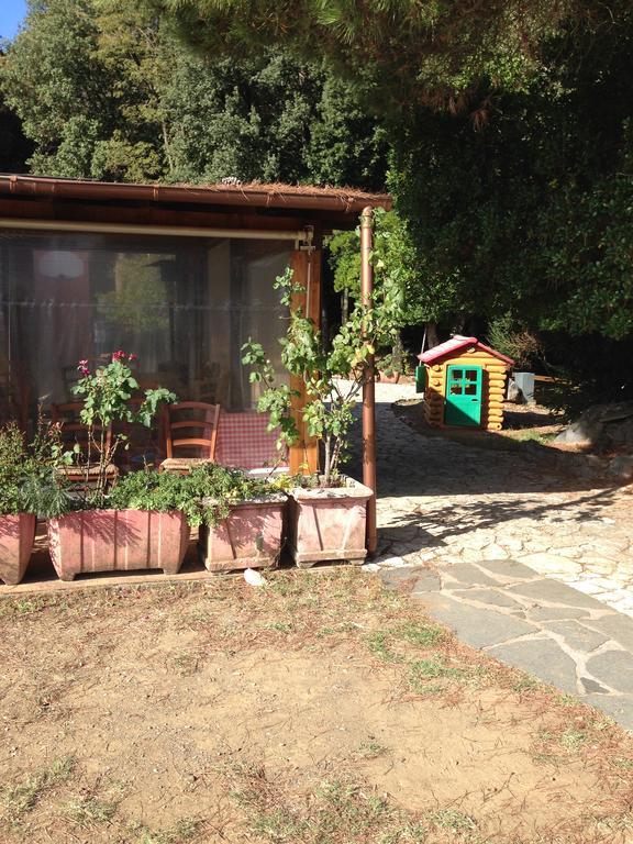 לינה וארוחת בוקר לריצ'י Agriturismo "La Rosa Canina" מראה חיצוני תמונה