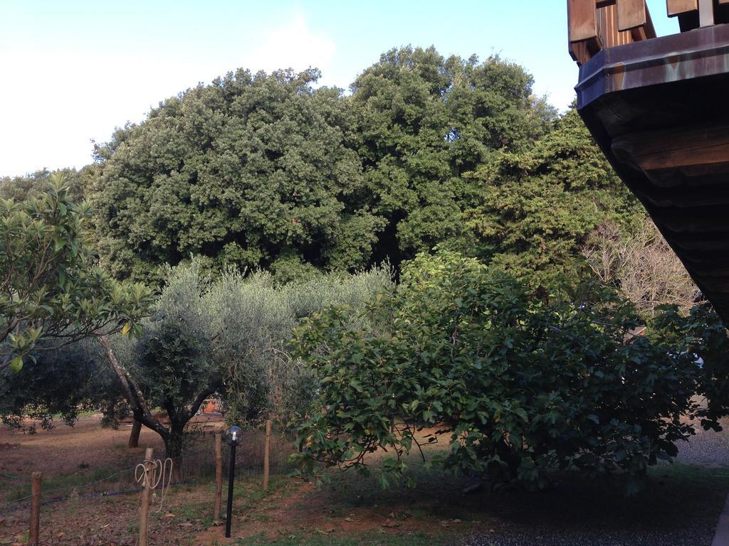 לינה וארוחת בוקר לריצ'י Agriturismo "La Rosa Canina" מראה חיצוני תמונה