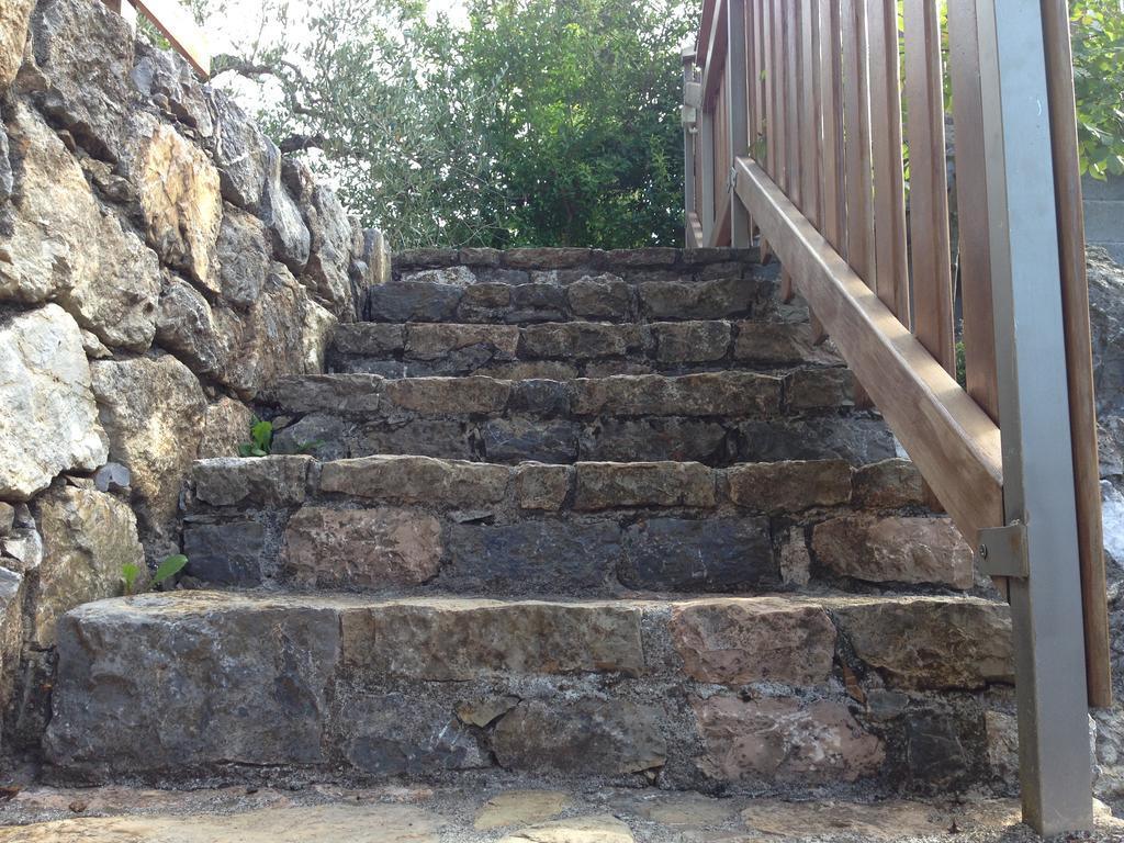 לינה וארוחת בוקר לריצ'י Agriturismo "La Rosa Canina" מראה חיצוני תמונה