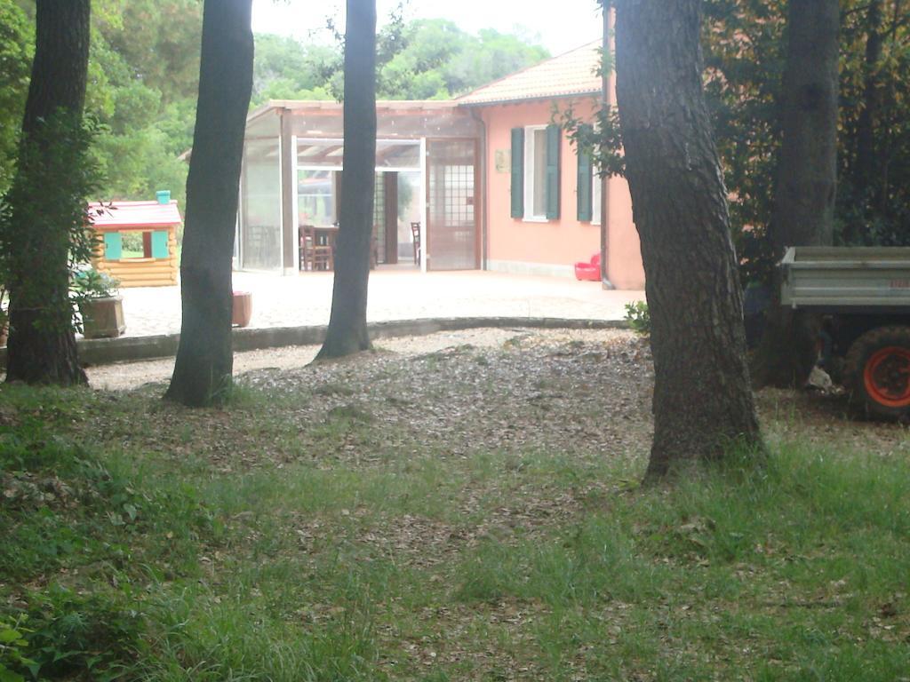 לינה וארוחת בוקר לריצ'י Agriturismo "La Rosa Canina" מראה חיצוני תמונה