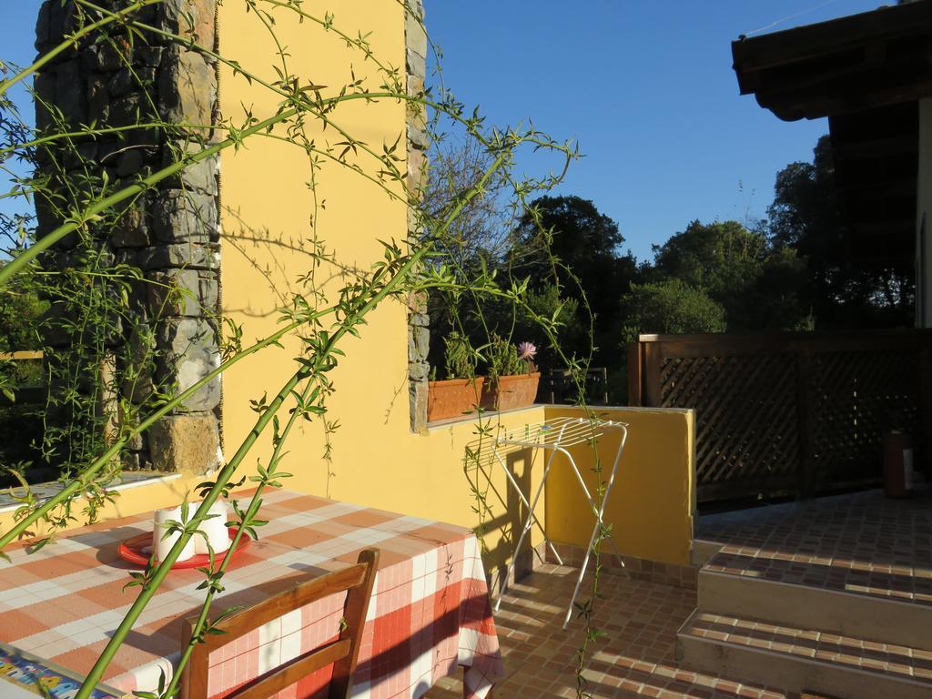 לינה וארוחת בוקר לריצ'י Agriturismo "La Rosa Canina" מראה חיצוני תמונה